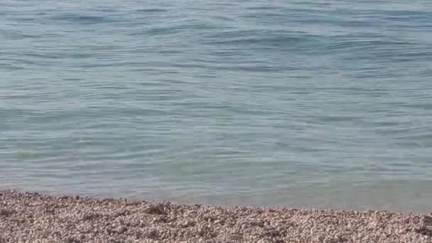 Adriatic sea beach — Stock Video