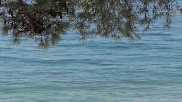 Adriatic sea shore background — Stock Video