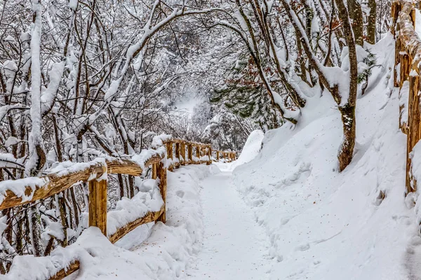 Plitvice lakes snöiga vinter — Stockfoto