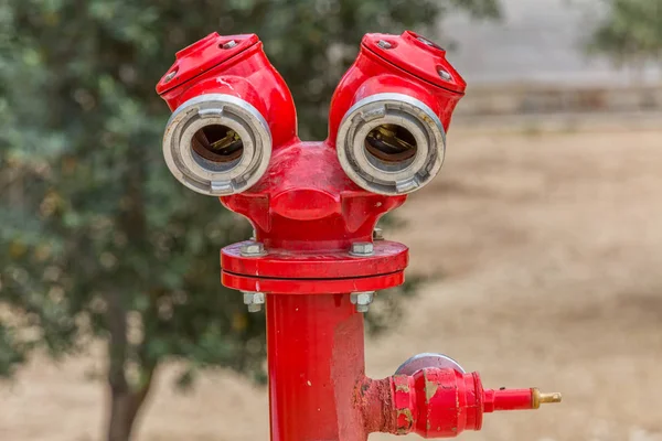 Jerozolima czerwony hydrantowe — Zdjęcie stockowe