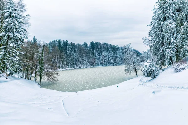 Frusen sjö i Zagorje, Kroatien — Stockfoto