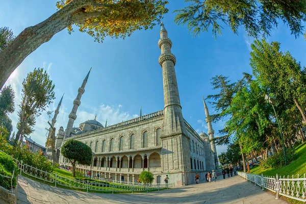 Blauwe moskee istanbul — Stockfoto