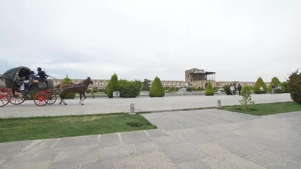 Carruaje Isfahan Imam Square — Vídeos de Stock