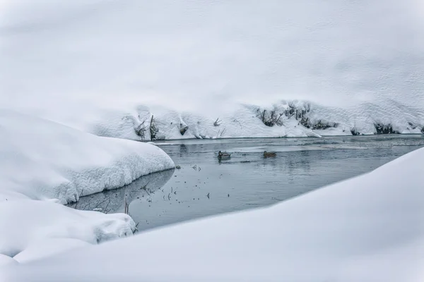 Liten bäck i snö — Stockfoto