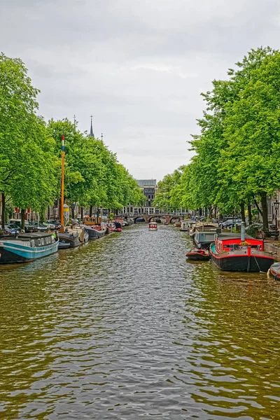 Amsterdamse groene bomen reflectie in rivier kanaal — Stockfoto