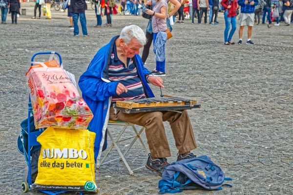 Artista musical de Ámsterdam en la plaza Dam — Foto de Stock