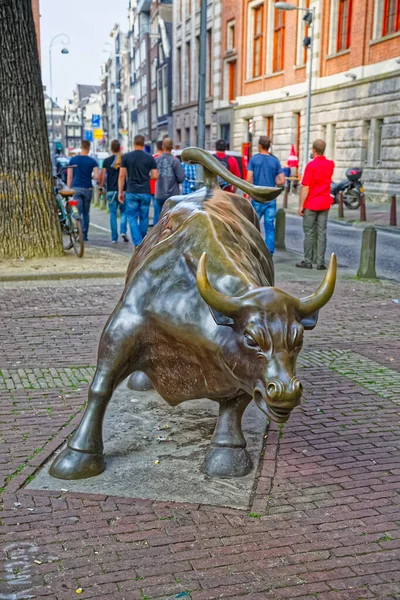 Amsterdam città Carica toro scultura in bronzo Paesi Bassi — Foto Stock