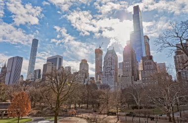 Central Park kış saatinde New York ağaçları