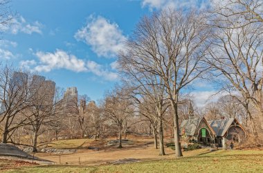 Central Park kış saatinde New York ağaçları