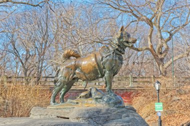 New York Central Park Balto köpek heykeli