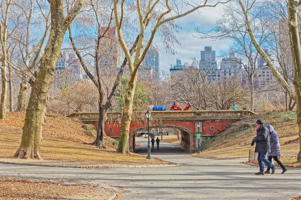 Ora esatta New York Central Park Driprock Arch bridge — Foto Stock