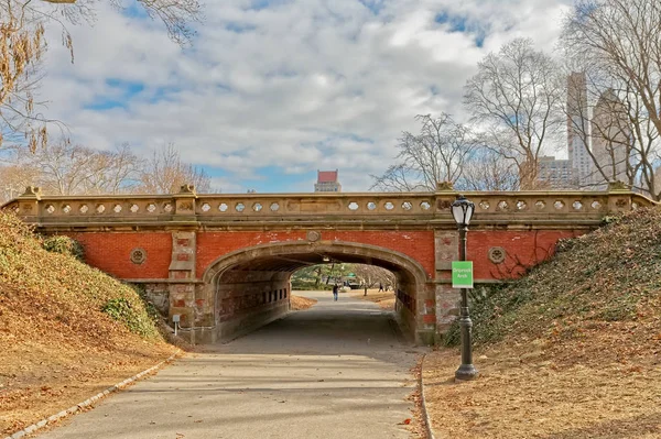 New York Central Park Driprock Arch Bridge zimní čas — Stock fotografie