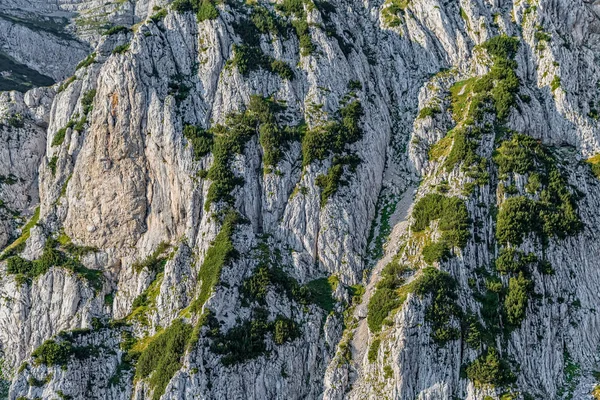 Φαράγγι Τάρα ελικόπτερο θέα — Φωτογραφία Αρχείου