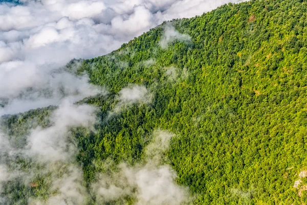 空の山の森 — ストック写真