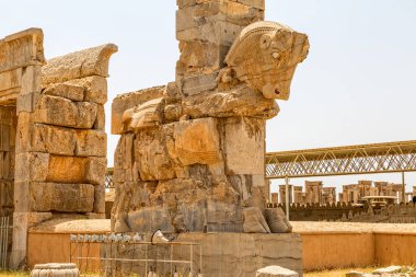 Toros kafa Persepolis