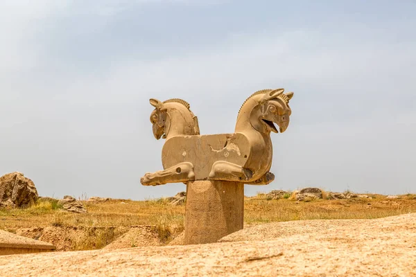 Хома птах в Персеполіс — стокове фото