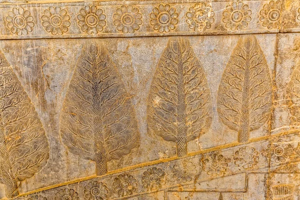 Reliéf na zdi v Persepolis — Stock fotografie