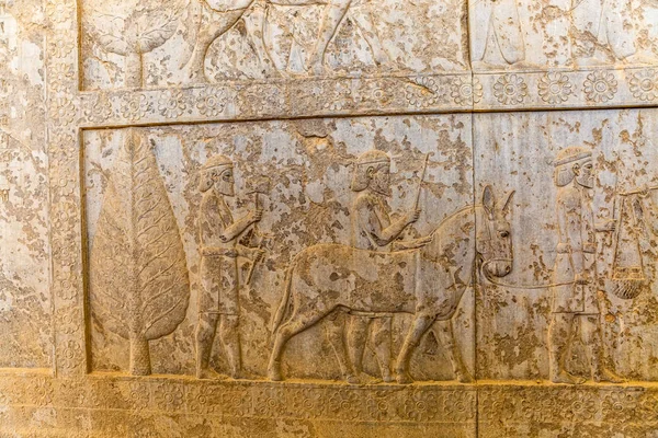 Residenti dell'impero storico con animali a Persepolis — Foto Stock