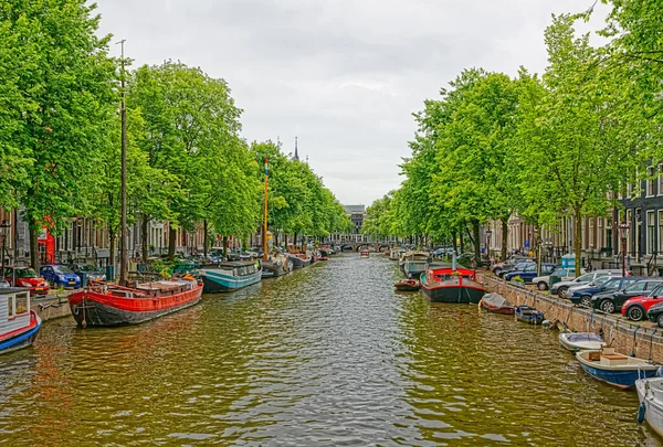 Amsterdam zöld fák reflexió folyócsatornában — Stock Fotó
