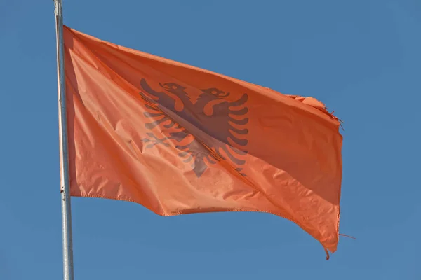 Bandera de Albania ondeando cielo azul en el fondo — Foto de Stock