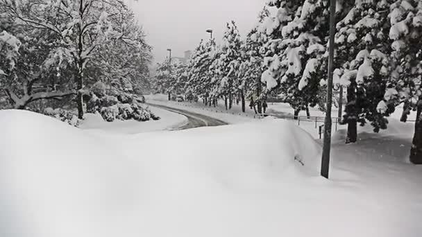 Duże opady śniegu w Zagrzebiu — Wideo stockowe