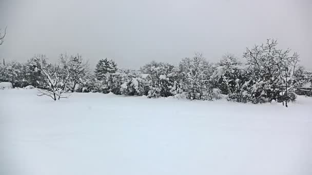 萨格勒布的大雪 — 图库视频影像