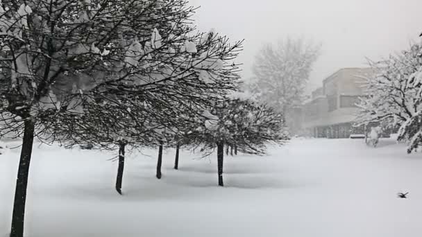 Zagreb 'de yoğun kar yağıyor — Stok video