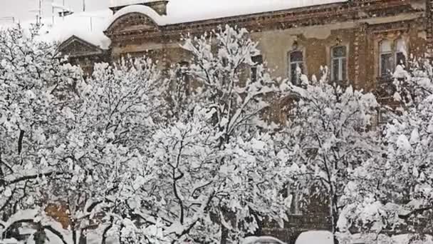Duże opady śniegu w Zagrzebiu — Wideo stockowe