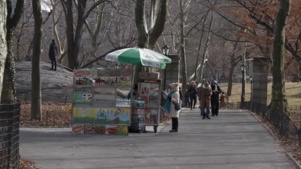 New Yorker Central Park — Stockvideo