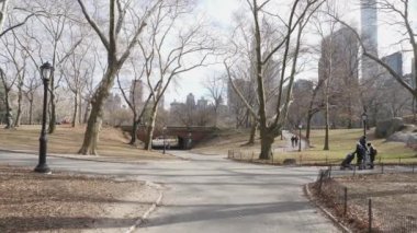 New York Central Park Driprock Kemer Köprüsü Kış Zamanı