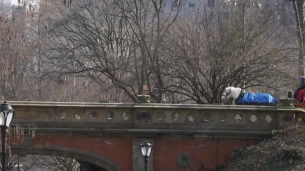 Czas zimowy - New York Central Park Driprock Arch Bridge — Wideo stockowe