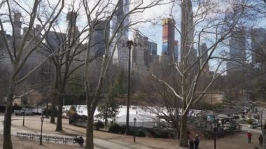 Kış zamanı New York Central Park
