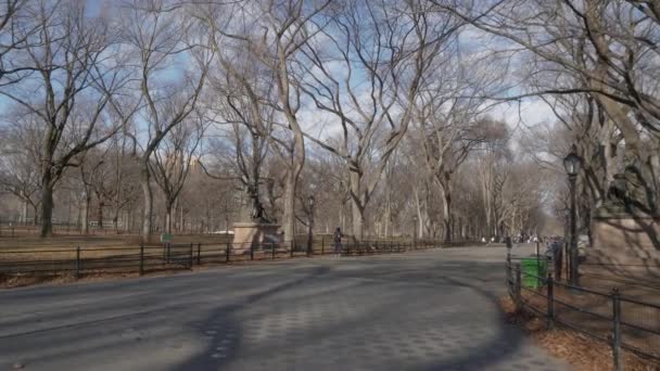 New York Central Park gångväg i vintertid — Stockvideo