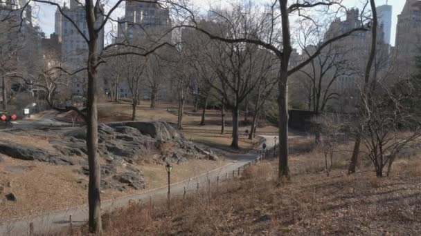 Kış aylarında New York Central Park geçit — Stok video