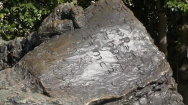 Albert Einstein Anıtı Washington Dc ABD'de