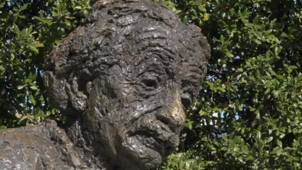 Albert Einstein Memorial em Washington DC EUA — Vídeo de Stock