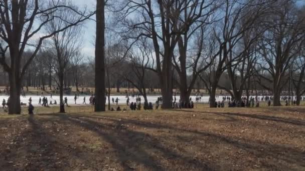 Washington National Mall paseo de invierno Estados Unidos de América — Vídeos de Stock