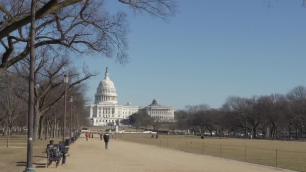 ワシントンDCにあるアメリカ合衆国議会議事堂ビル — ストック動画