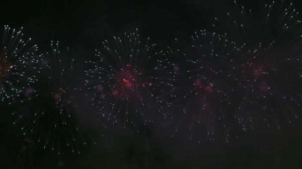 Vuurwerk display componeren schot — Stockvideo