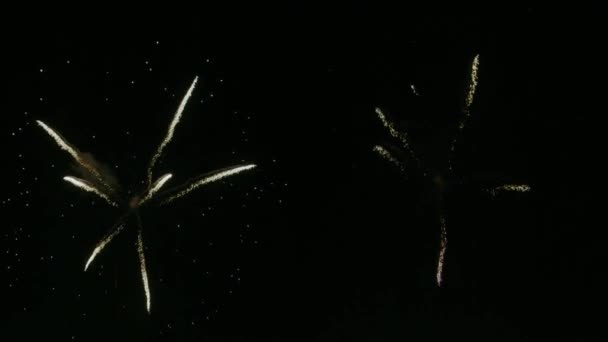 Vuurwerk weergave slow motion — Stockvideo