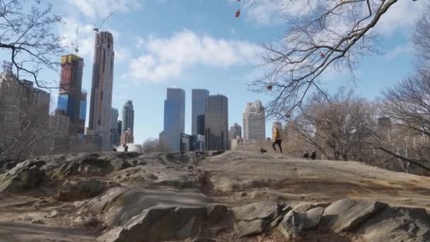 New York Central Park in inverno — Video Stock