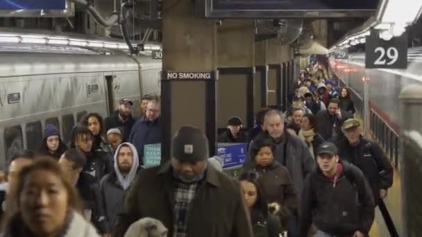 New York Grand Central Station — Stock Video