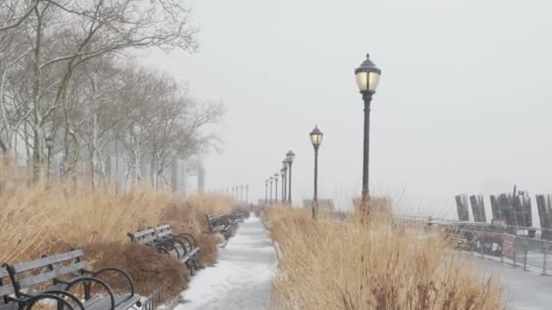 Battery Garden Parkı New York — Stok video