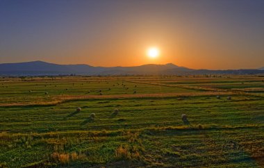 Hırvatistan 'ın kırsal kesiminde Sinj yakınlarındaki saman balyalarının hava manzarası