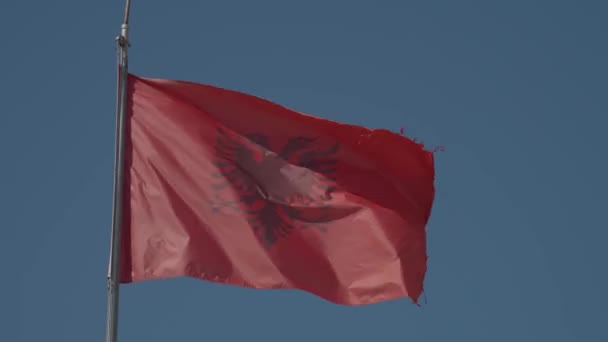 Drapeau rouge albanais flottant au vent — Video