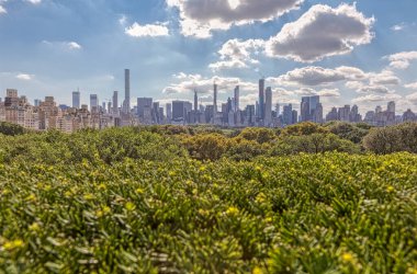 New York şehir merkezi Manhattan panoramik manzarası