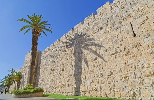 Western edge of the Jerusalem Old City with a palm — Stock Photo, Image