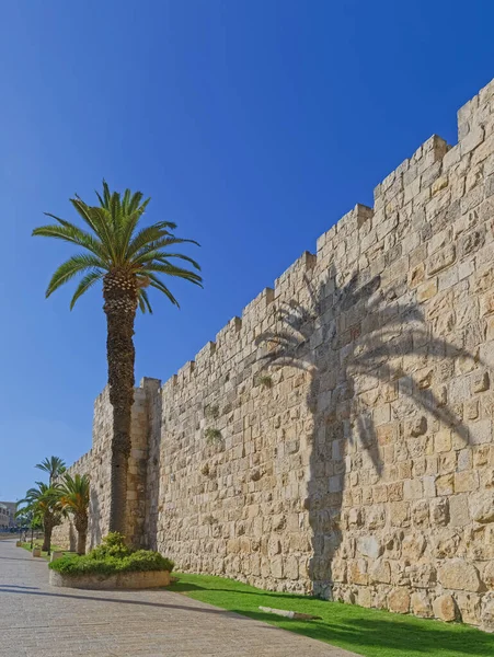 Bordo occidentale della Città Vecchia di Gerusalemme con una palma — Foto Stock