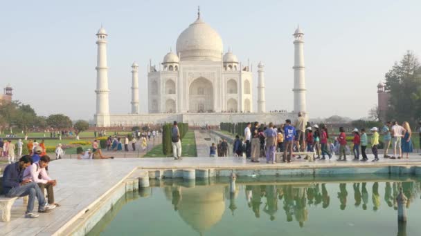 The Taj Mahal, India — Stock Video