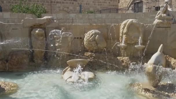 Der Tierkreisbrunnen auf dem Kedumim-Platz in Old Jaffa — Stockvideo